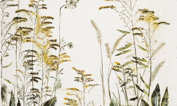 royward_watercolors_web-_NEF7882