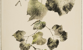 royward_watercolors_web-_NEF7888