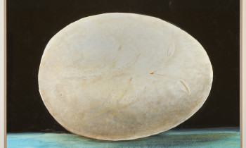 royward_LargePaintingsMontgomery-_NEF9106