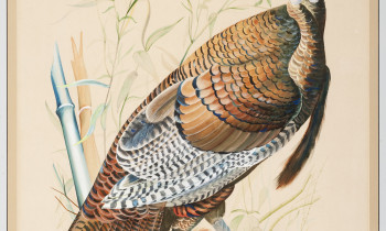 royward_LargePaintingsMontgomery-_NEF9130