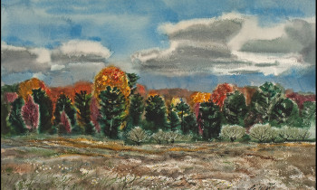 royward_watercolors_web-_NEF4926-4x6