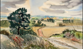 royward_watercolors_web-_NEF4943-4x6