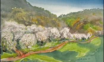 royward_watercolors_web-_NEF4949-4x6