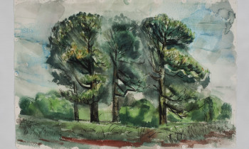 royward_watercolors_web-_NEF4953-4x6