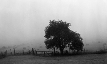 royward_web-_NEF5611