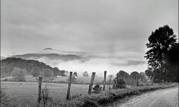 royward_web-_NEF5613