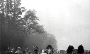 royward_web-_NEF5684