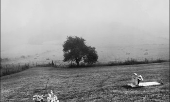 royward_web-_NEF5693