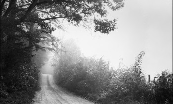 royward_web-_NEF5694