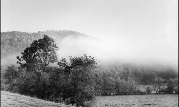 royward_web-_NEF5695