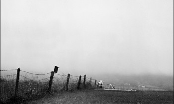 royward_web-_NEF5696