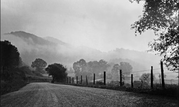 royward_web-_NEF5697