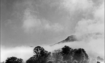 royward_web-_NEF5700