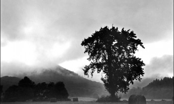 royward_web-_NEF5701