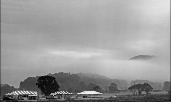 royward_web-_NEF5703