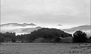 royward_web-_NEF5704